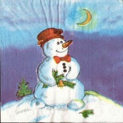 schneemann mit dem pfannenhut 001