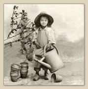 sg-80084.jpg garden girl