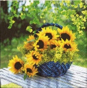 sonneblumen im korb 001