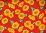 sonnenblumen rot 001