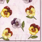 stiefmütterchen lila 001