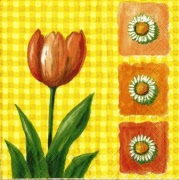 tulpe rot gelb 001
