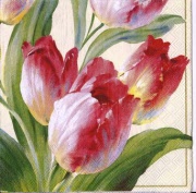 tulpenstrauss gelb 001