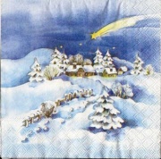 verschneites dörfli 001