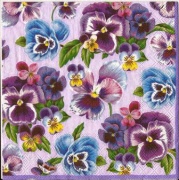 viele stiefmütterchen 001