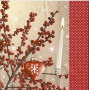 weihnachtsstimmung 001