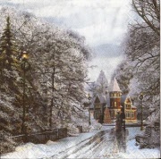 williams winter hous 001