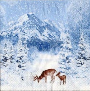 winter mountains 001