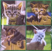 wintersportler 001 (2)