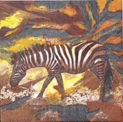 zebras  rar  avec 001
