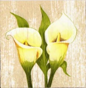 zwei gelbe mit blatt 001