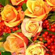 1210-11201herbstrose