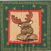 kein stress für rudolf grün 001