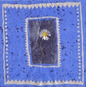 kleine margrite in blauem rand 001