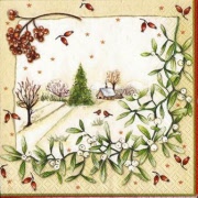 kleines haus mit mistelzweig 001