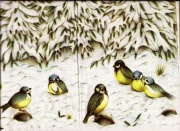 meisen im schnee 001