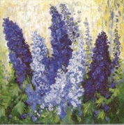 rittersporn blue 001