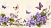 veilchen mit schmetterlingen 001